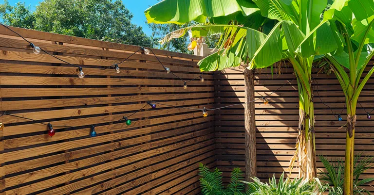 Cloture - Image Produit